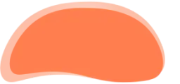 Zunamu logo icon